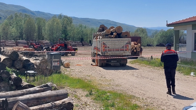 Sakarya'da üzerine tomruk devrilen işçi öldü