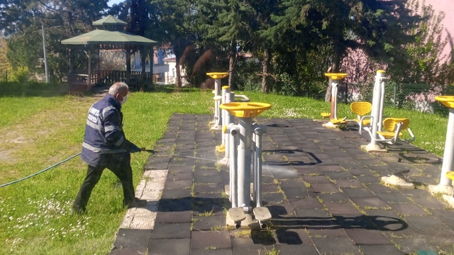 19 Mayıs ilçesinde kahverengi kokarca ile mücadele çalışmaları devam ediyor