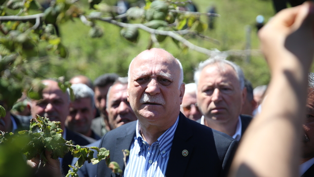 TZOB Genel Başkanı Bayraktar, Ordu'da zirai dondan etkilenen fındık bahçelerini inceledi