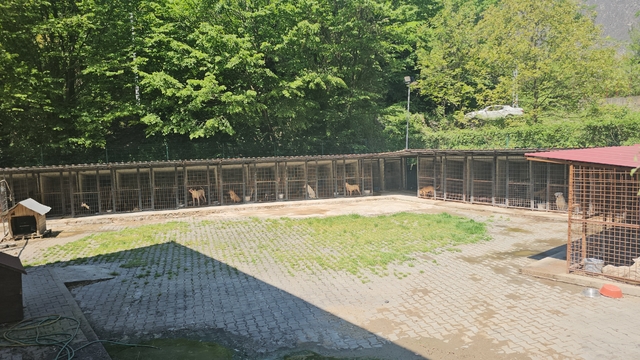 Galeri