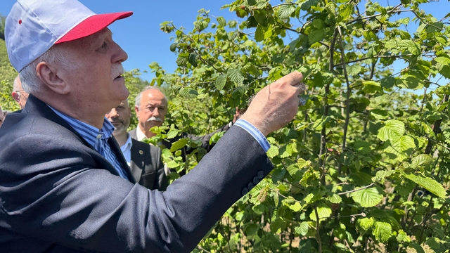 TZOB Genel Başkanı Bayraktar: Zirai don hasarı yüzde 100