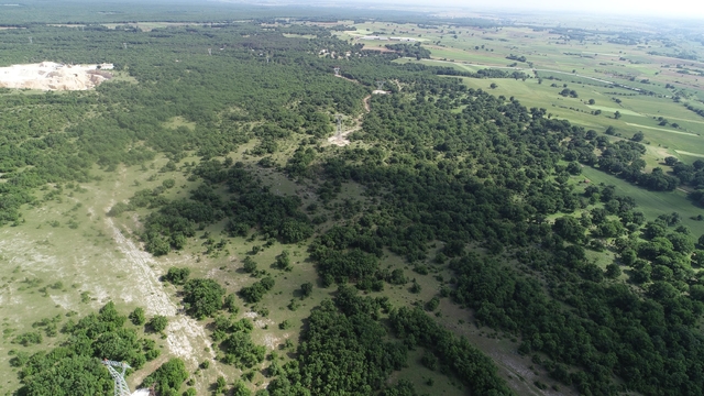 Kırklareli'de ormanlara girişler yasaklandı