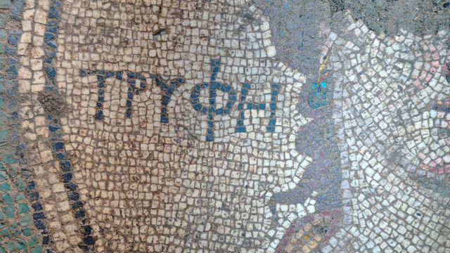 Tokat'ta izinsiz kazıda Antik Yunanca yazı bulunan mozaik bulundu; 2 tutuklama