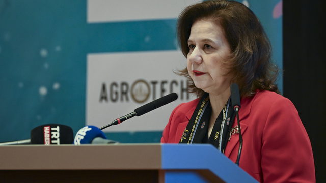 Ankara'da "Blue Talks: Değişimin İçinde UNOC-3'e Giden Yol" paneli düzenlendi