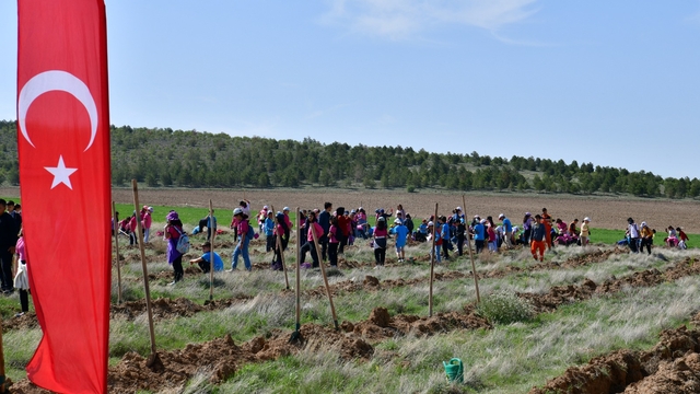 Kırşehir'de fidanlar toprakla buluştu