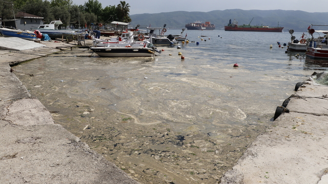İzmit Körfezi'nde oluşan köpüksü tabakanın temizlenmesi için çalışma başlatıldı