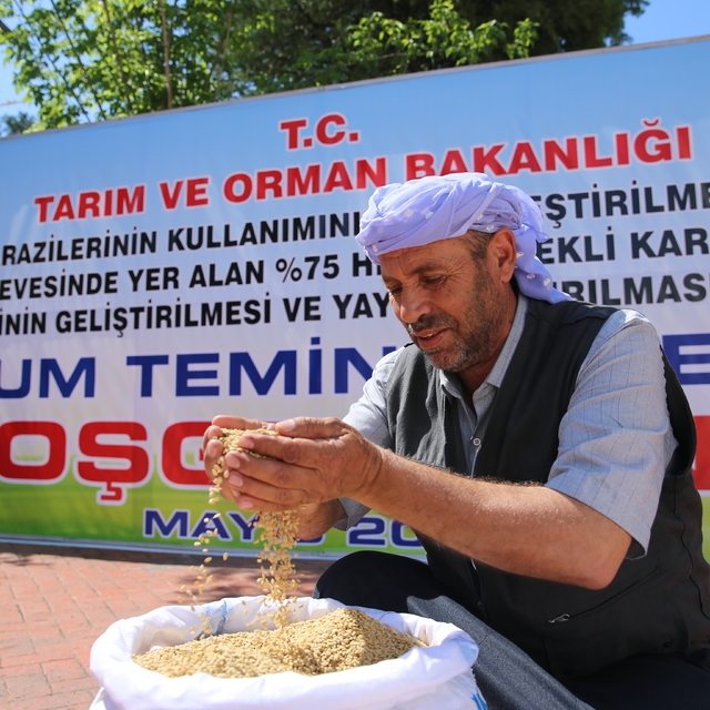 Diyarbakır'da 45 çiftçiye 27 ton sertifikalı çeltik tohumu desteği