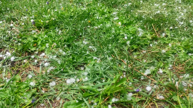 Karabük'te sağanak ve dolu etkili oldu