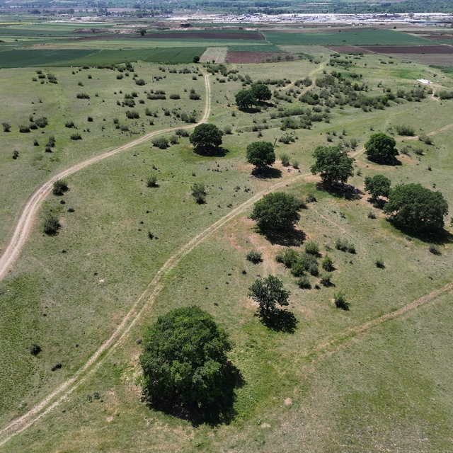 Edirne'de meraların belli bölümlerinde sulamalı sisteme geçilecek