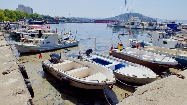 Erdek Körfezi kıyılarında müsilaj görüldü