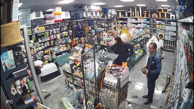 Motosikletin mağazaya girdiği kaza kamerada