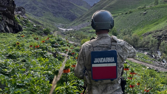 Hakkari'de açan ters laleleri jandarma koruyor