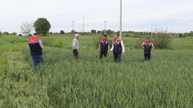 Edirne'de doludan etkilenen tarım arazilerinde hasar tespit çalışması yapıldı