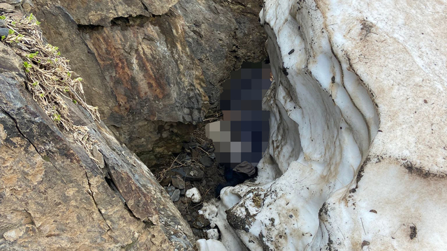 Bitlis'te pancar toplamak için dağa giden kadın ölü bulundu