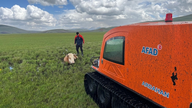 Ardahan'da çamurda mahsur kalan ineği AFAD ekipleri kurtardı