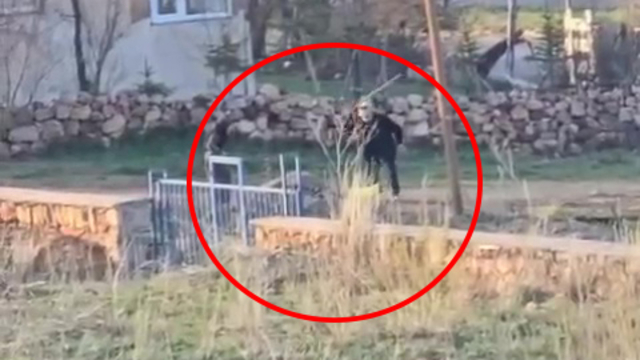 Eşeğe sopalı eziyet kamerada