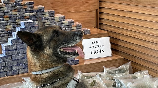 TIR'ın dorsesinde 101 kilo uyuşturucu ele geçirildi; 4 gözaltı