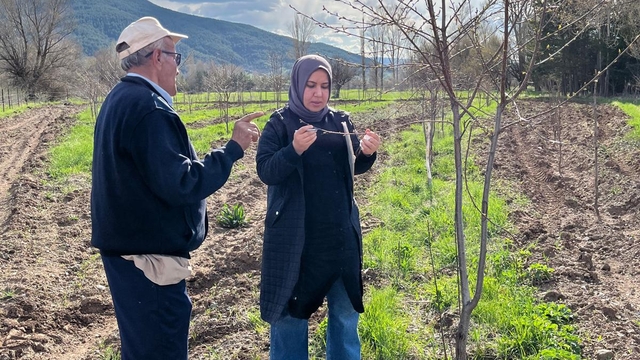 Erzincan'da ekipler, zirai dondan etkilenen meyve bahçelerini inceledi
