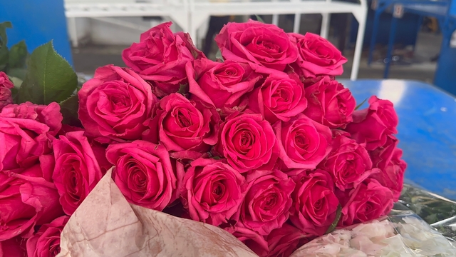 Yalova'da çiçek mezadında 'Anneler Günü' yoğunluğu