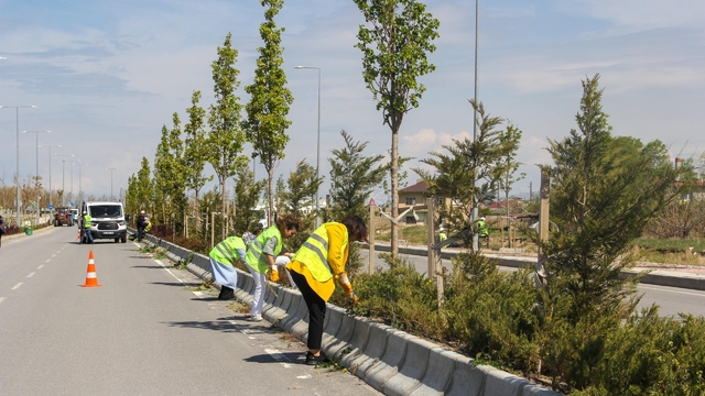 Van'da parklarda temizlik ve onarım çalışması yapıldı