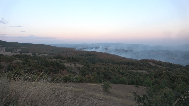 Kocaeli'de orman ve makilik alanlara giriş yasağı