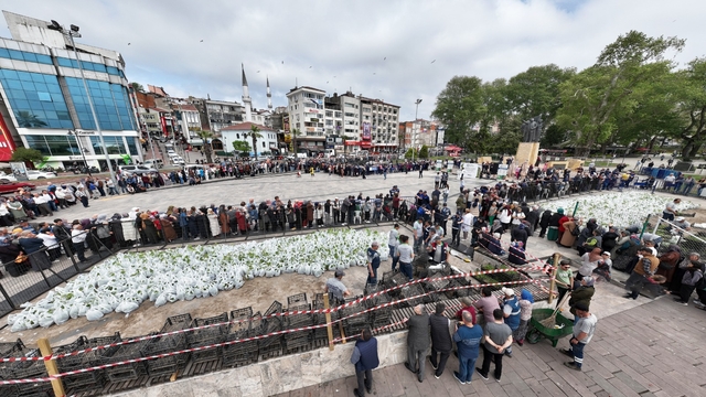 Zonguldak'ta ata tohumlarıyla yetiştirilen 350 bin sebze fidesi dağıtıldı