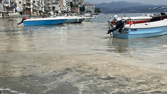 Galeri