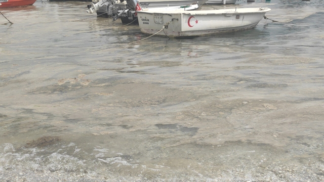 Marmara Denizi'nde Bursa kıyılarında müsilaj görüldü
