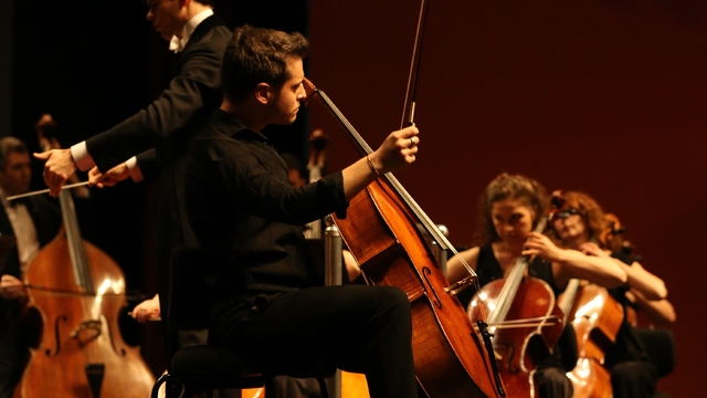 Galeri