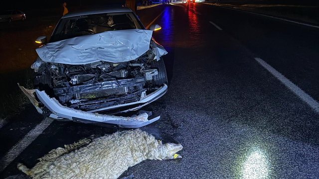 Şanlıurfa'da sürüye çarpan otomobildeki 3 kişi yaralandı