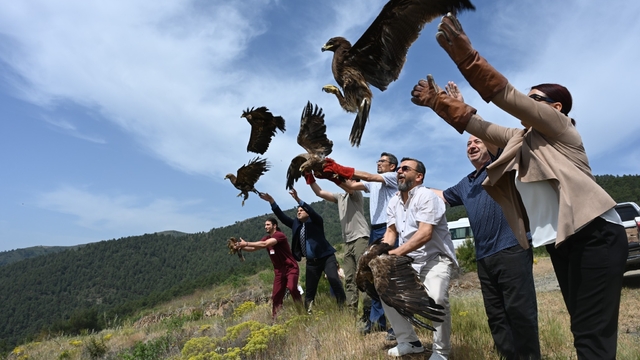 Hatay'da yaralı bulunan 10 kuş tedavilerinin ardından doğaya salındı