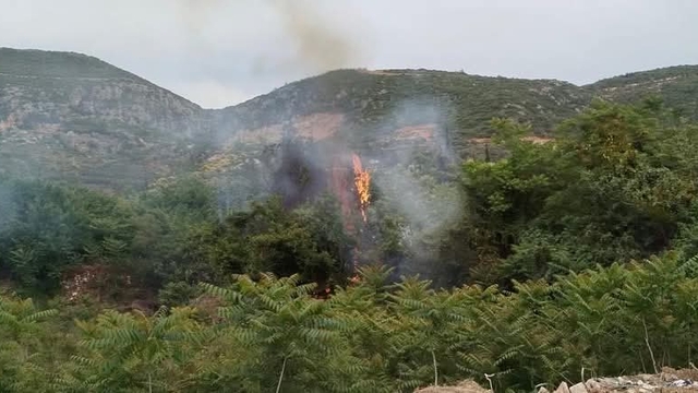 Hatay'da bahçede çıkan yangın söndürüldü