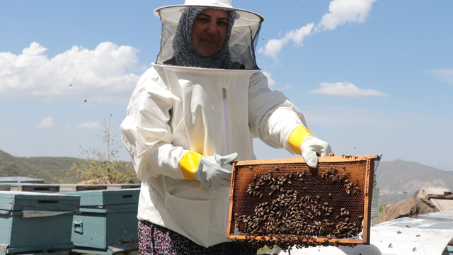 Çocukları için arıcılığa başlayan 3 çocuk annesi, kovan sayısını 5'ten 50'ye çıkardı