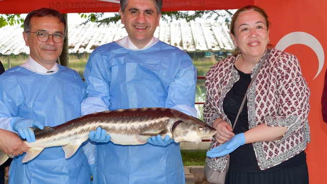 Bolu'dan kısa kısa