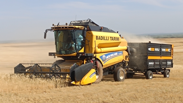 Mardin'de ilk arpa hasadı yapıldı; çiftçi gram altınla ödüllendirildi