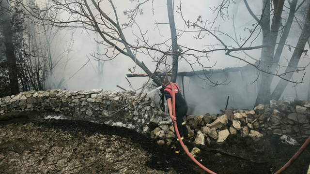Kütahya'da 4 kümes yandı; 100 tavuk öldü