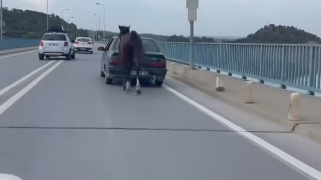 Ata eziyete 2 tutuklama