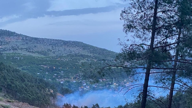 Mersin'de çıkan orman yangını kontrol altına alındı