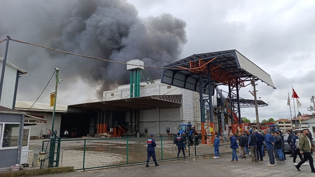 Sakarya'da fındık kırım fabrikasında çıkan yangına müdahale ediliyor