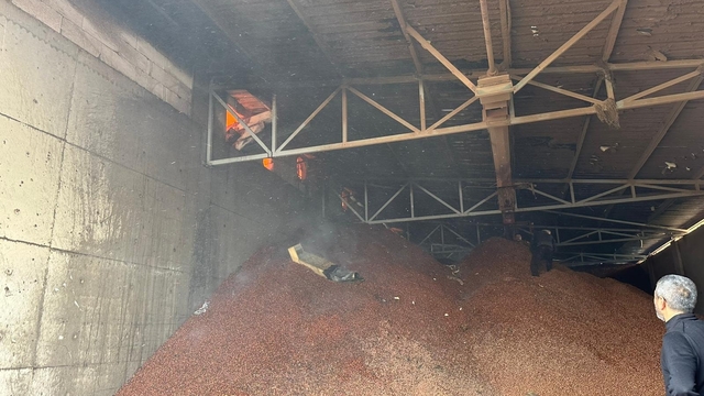 Fındık fabrikasındaki yangın, 2,5 saatte kontrol altına alındı