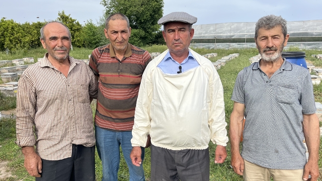 Antalya Kumluca'daki gezgin arıcılar bal hasadına başladı