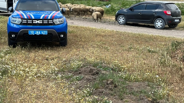 Balıkesir'de ahır yangınında 35 küçükbaş hayvan telef oldu