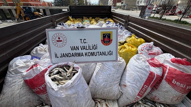 Van'da 3 ton 820 kilo inci kefali ele geçirildi
