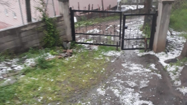 Tokat'ta şiddetli yağmur sonucu meydana gelen selde 35 koyun telef oldu