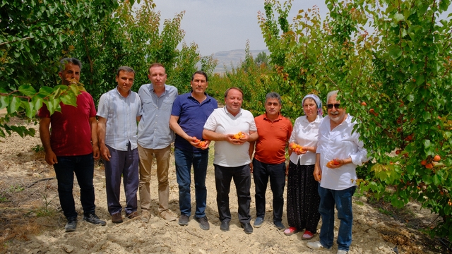 Mersin'de 63. Karacaoğlan Kayısı, Kültür ve Sanat Festivali 30 Mayıs'ta başlayacak