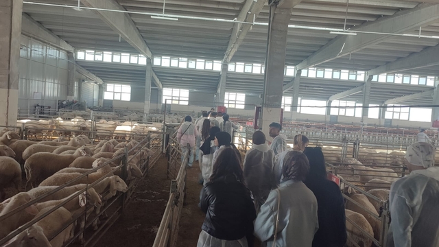 Aksaray'da veteriner teknikerliği öğrencileri uygulamalı eğitim aldı