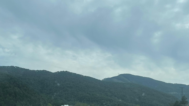 Bolu'da yumurta yüklü tır devrildi