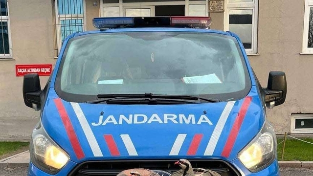 Erzurum'da kaçak avlanan kişiye 13 bin 500 lira ceza kesildi