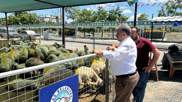 Talas'ta kurban pazarına başvurular başladı