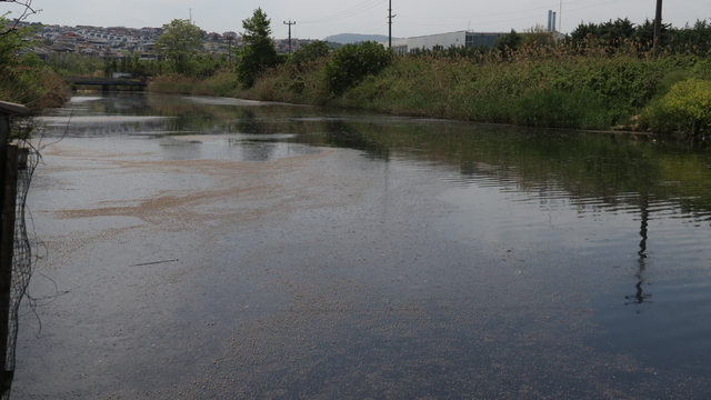 Yalova'da Marmara Denizi'ni kirleten YASKİ'ye 4 milyon lira ceza kesildi